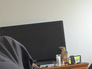 Foreplay and Solo with the Modern Slut