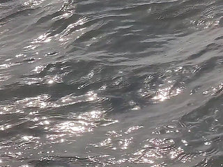 Bts Blooper Open Ocean Phootshot