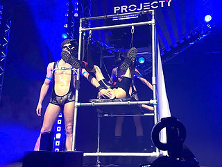 Live Doggy Porn Show