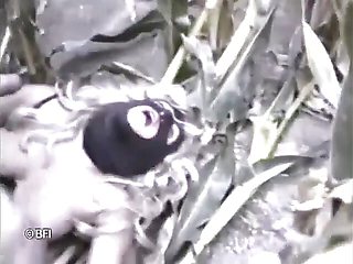 The Corn on the Cob.