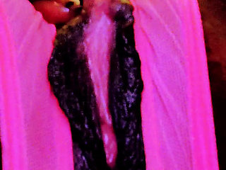 Pink Pussy Pink Asshole