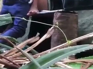 Indian Couples Are Sex in Jungle