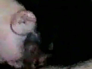My Little Slut Blowjob