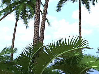 Holiday for Four Part 9