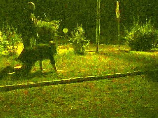 In Order for a Bitch to Listen, She Needs to Be Trained Hard.