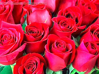 Indian aunty sex, hd videos, desi sex