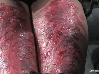 Bonus Update: Part 2 of the Nov Live Feed