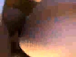 hotwife day trip with bbc bull fucks black cock in Tesla oo