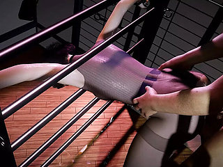 Horny Canadian Girl Gets Hard BDSM Training in 3D Hentai