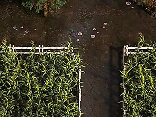 The Genesis Order V39084 Part 98 Horny Cowgirl by Loveskysan69