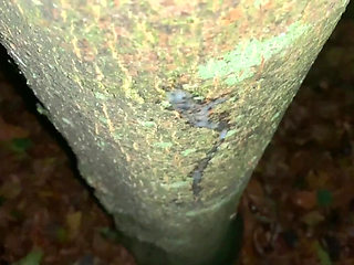 Cumshot on a Tree and Close up Look on My Fresh Load