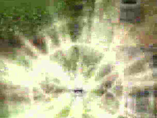 Fucking My Pregnant Stepsister in the Barn