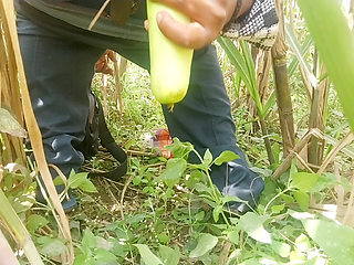 Went to the sugarcane field and fucked my ass with a very thick gourd.