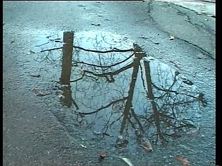 Lisa Fucks Everywhere and Takes Everything in Her Mouth, Asshole, and Pussy.