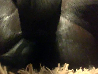 longer than I expected