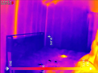 First Time Locked in Chastity Belt! Thick BBW Ass Fingered Deep Then Stuffed with 2 Huge Butt Plugs Thermal POV