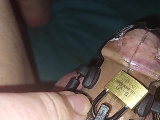 Estim Chastity