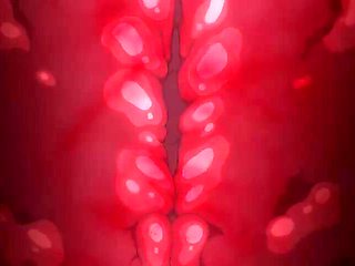 Shameless Voice in the silence_21060401p0
