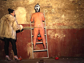 Whip and CBT on Ladder