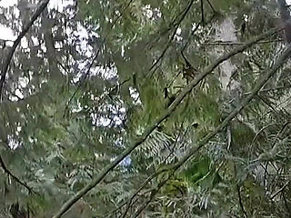 Indoor Pee, Outdoor Pee