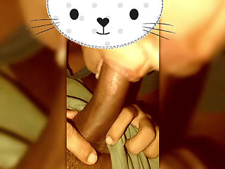 Facking Sow