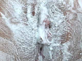 Shaving a Landing Strip! Intimate Pussy Trimming! Hairy Pussy Close-up!