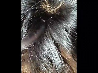 Fucking My Girl friend Doggy style