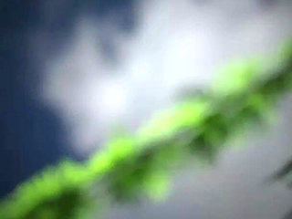 The Lust City 2 - Sophia Gets Massive Creampie in the Jungle