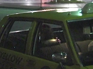 Versaute Taxifahrt: Hei&szlig;e Action im Cab