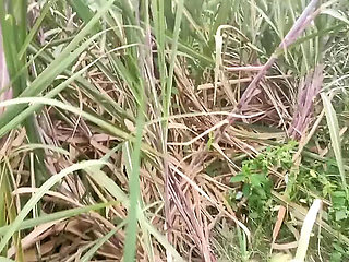 Desi Tamil 18 Year Old Girl Priyanka314 Blowjob Close-Up