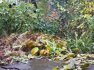 Hot mature woman in leggings pees standing doggystyle