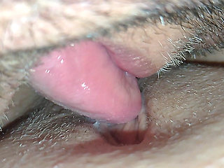 My Pussy Is Being Licked