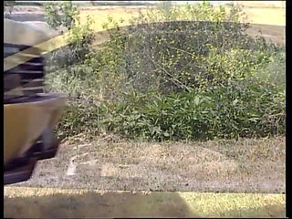 Licking fucking fingering, sexy girls sexy pussy