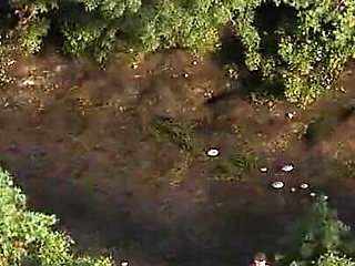 The Genesis Order V27053 Part 66 Treasure Game by Loveskysan69