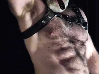 Hairy Muscle Leather Stepdaddy Showing off