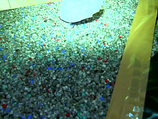 Sex Therapist Sucks Cock with Passionate Hunger