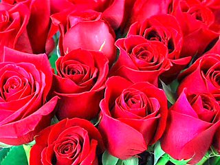 Bangladeshi girl, mommy, big ass