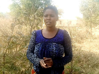 forest  in bush