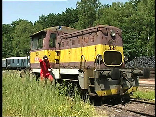 Double Blowjob Facial Cumshot with Big Ass Chubby Girl