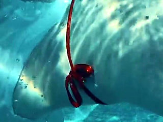 Join Me in the Pool, on My Mv Crush