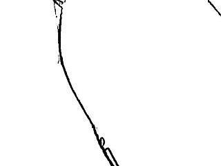 Desi Aunty Sexy Aunty Big Ass Aunty Kolkata Aunty Local Aunty Pussy Aunty Big Aunty Hard Core