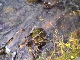 Hey Everyone! I Will Be Away on Business and Holiday Till 15th of November. I Will Be Still Uploading Pictures