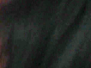 Young Kitten Begging to Be Impregnated