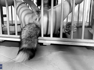 You are such a good little PET for me