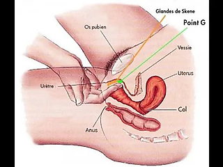 Comment Devenir Une tre Femme Fontaine ? Comment Faire Jouir Ta Copine