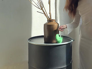 sexy cleaning lady transparent dress