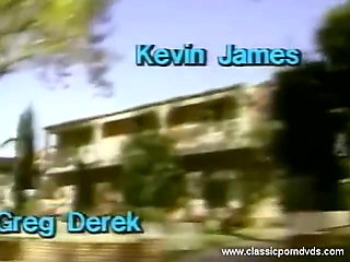 Classic Porn Dvds: the Pleasure Spot: Part 1