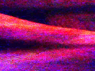 Sex in the Dark