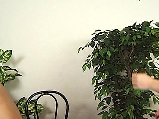 Seductive Brunette MILF Gets Wild Oral and Hardcore Pounding