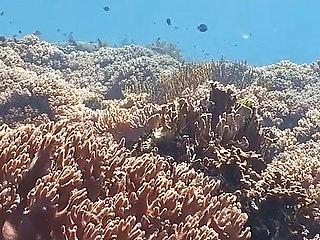 Backstage - Lisi Parisi